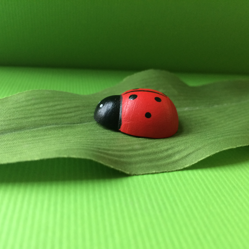 Marienkäfer auf dem Blatt